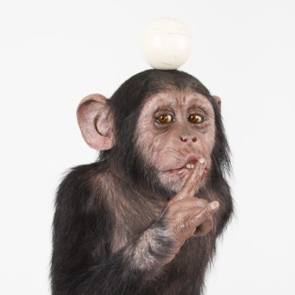 Monkey with Ivory ball on his head and his index finger in front of his mouth